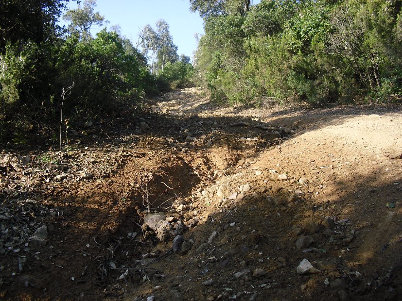 mollet-llafranc 2012 (6)